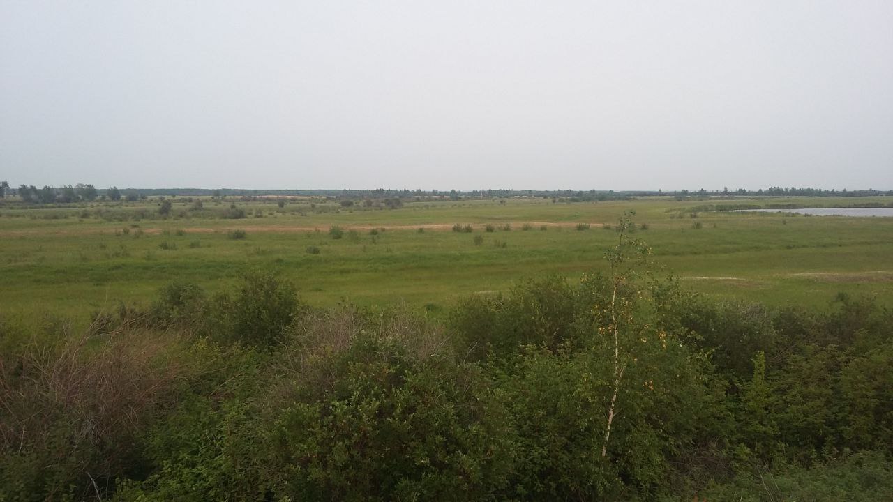 Земельный участок 3 гектара у озера, панорама