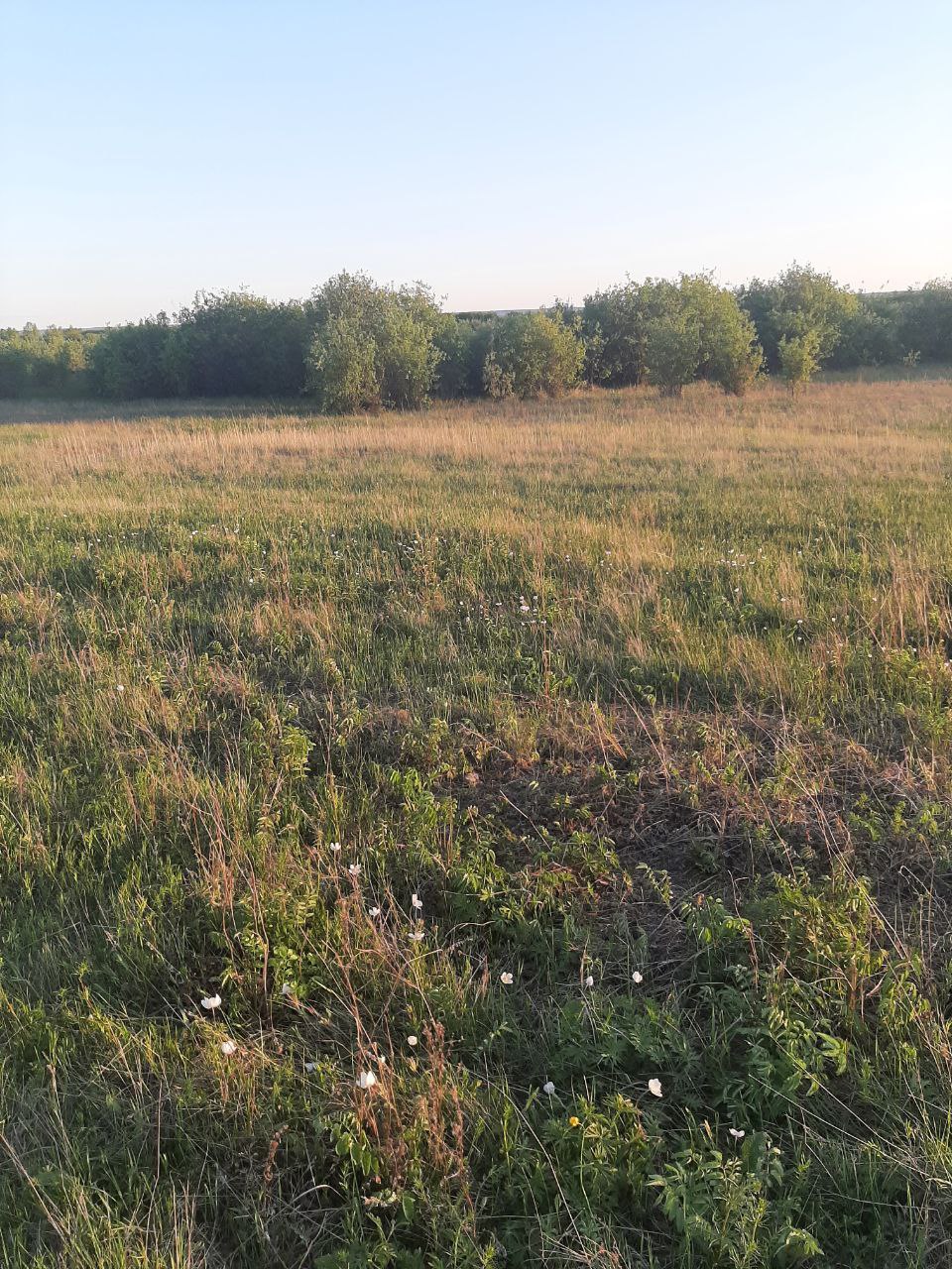 Участок — вид 5